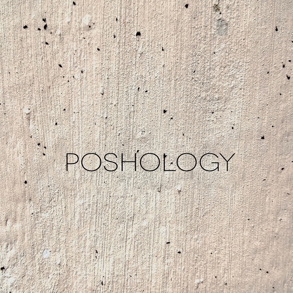 Meet your Posher, Pash